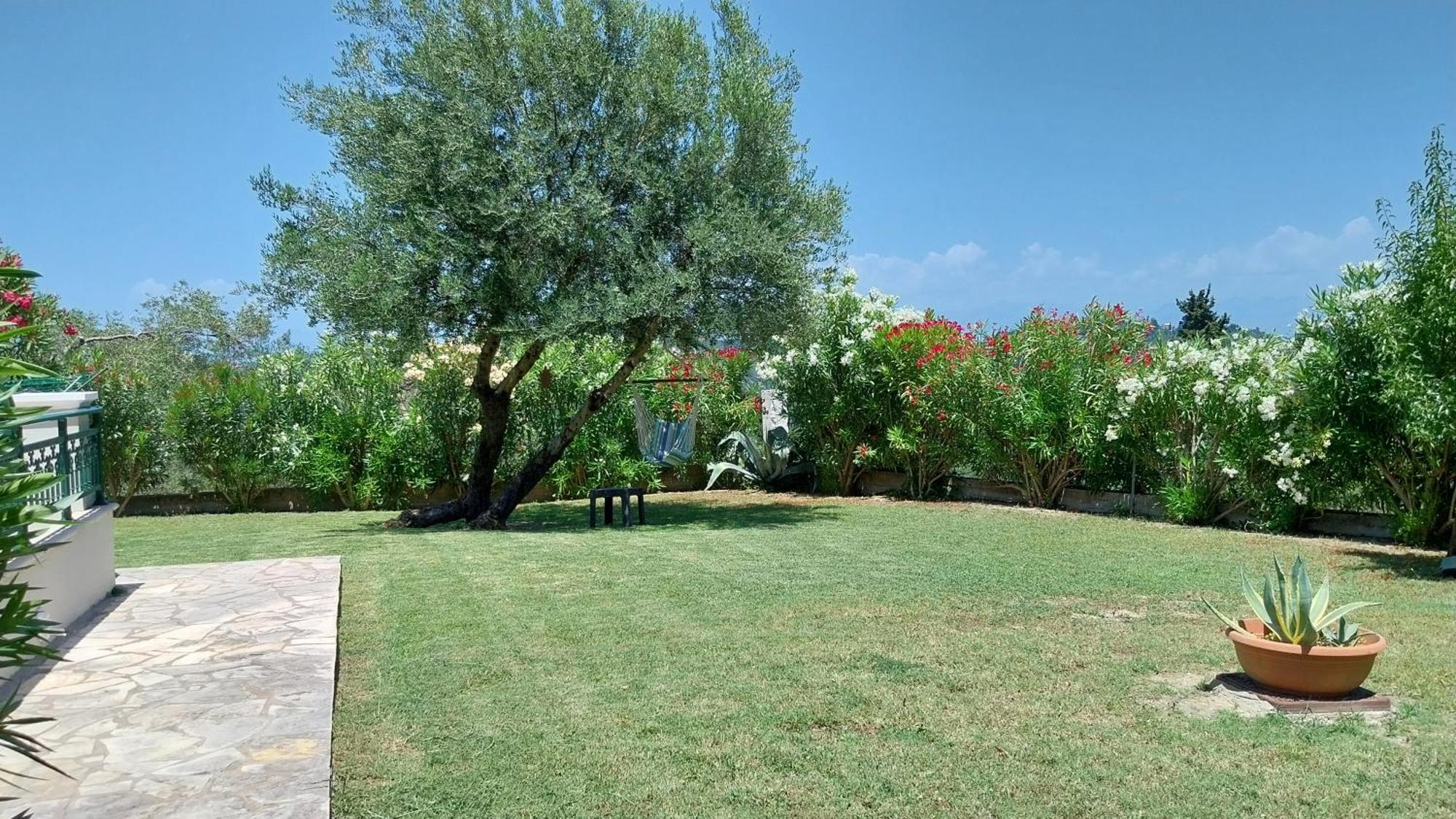 Villa Gecko, Arillas Kavvadades Ngoại thất bức ảnh